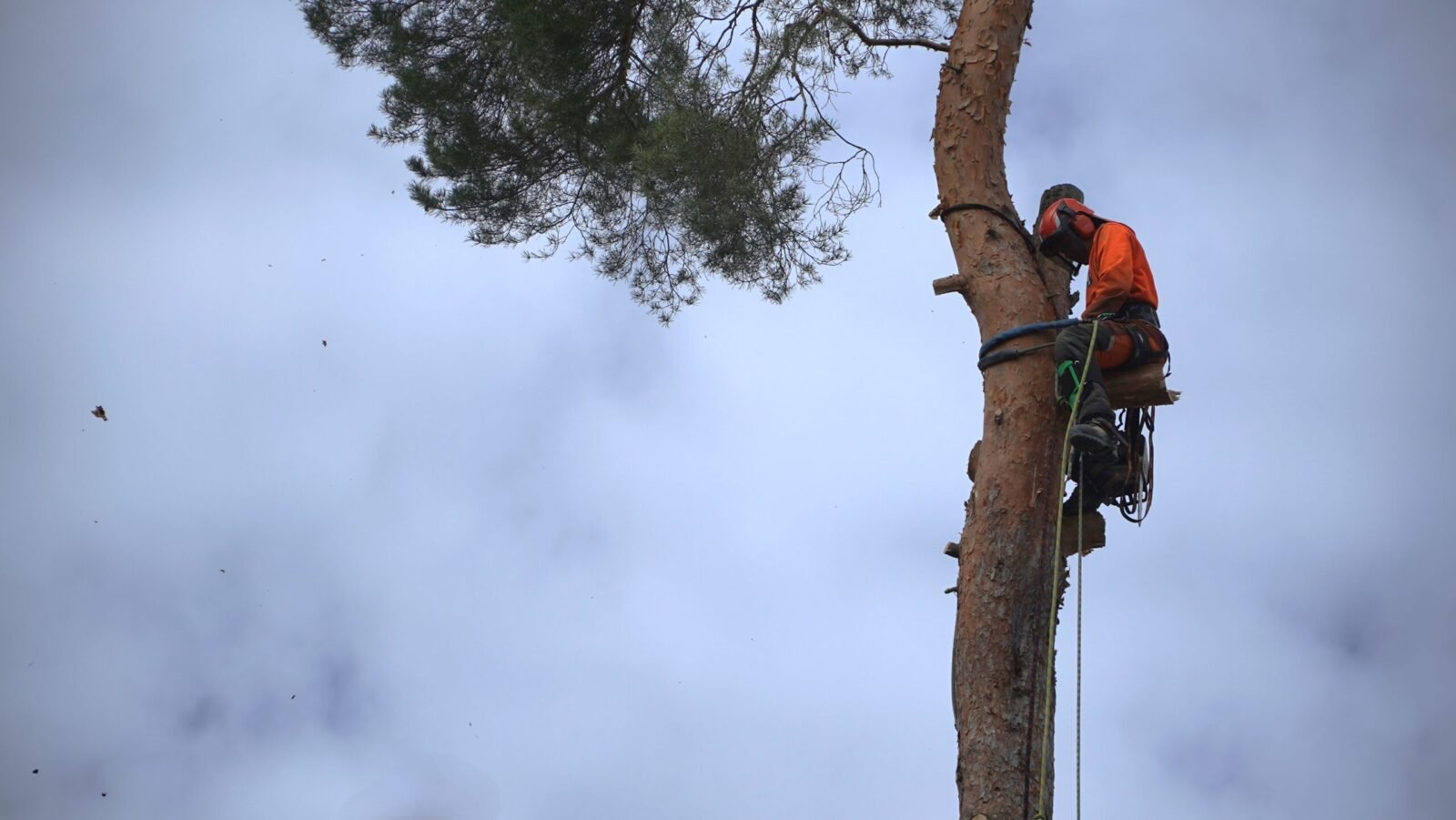 Puunkaato kiipeilemällä Apestorm Puunkaato Pirkanmaa