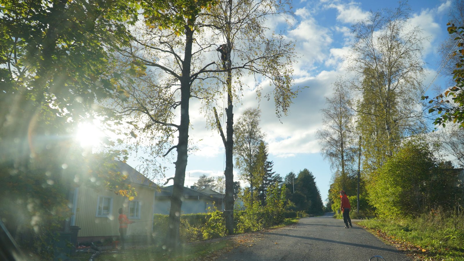 Puunkaatoa aamuaringossa Puunkaato Vesilahti – Lue lisää palvelusta